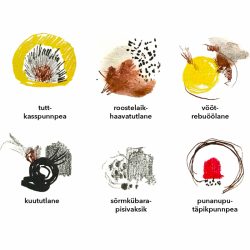 Visuaalse-kommunikatsiooni-sissejuhatav-joonistamiskursus_800x800_acf_cropped