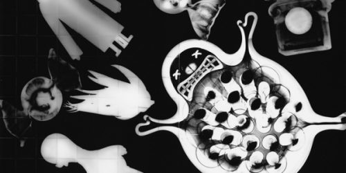 Mirai-Kanayama_600x300_acf_cropped