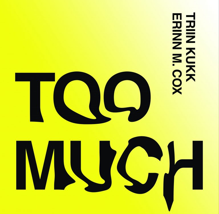 Triin Kukk and Erinn M. Cox at A-galerii: “Too Much”