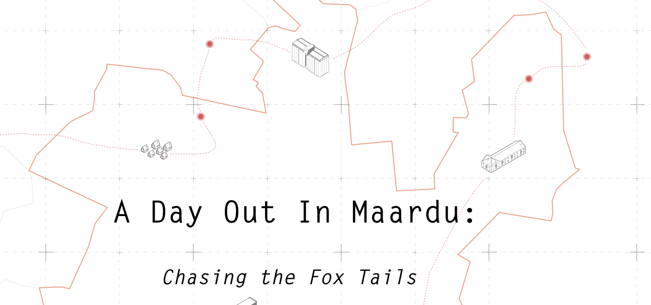 A Day Out In Maardu: Chasing the Fox Tails