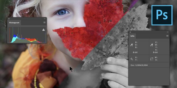 Adobe Photoshop algajale