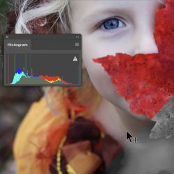 Adobe_Photoshop2020-1_800x800_acf_cropped