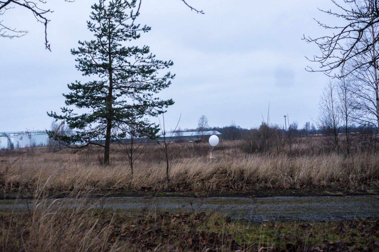 Beyond Borders: Moving through Maardu