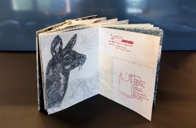 Brit_Kikas_Not_BioDegradable