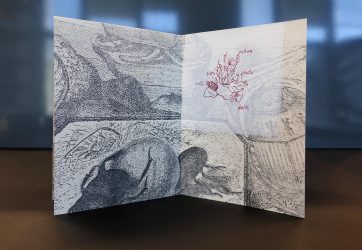 Brit_Kikas_Not_BioDegradable2