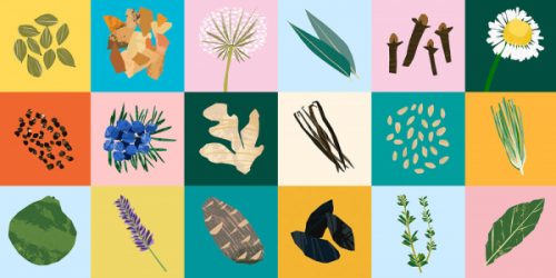 A-Fresh-Take-on-Essential-Oils-from-Ireland-_-World-Brand-Packaging-Design-Society-0-1_600x300_acf_cropped