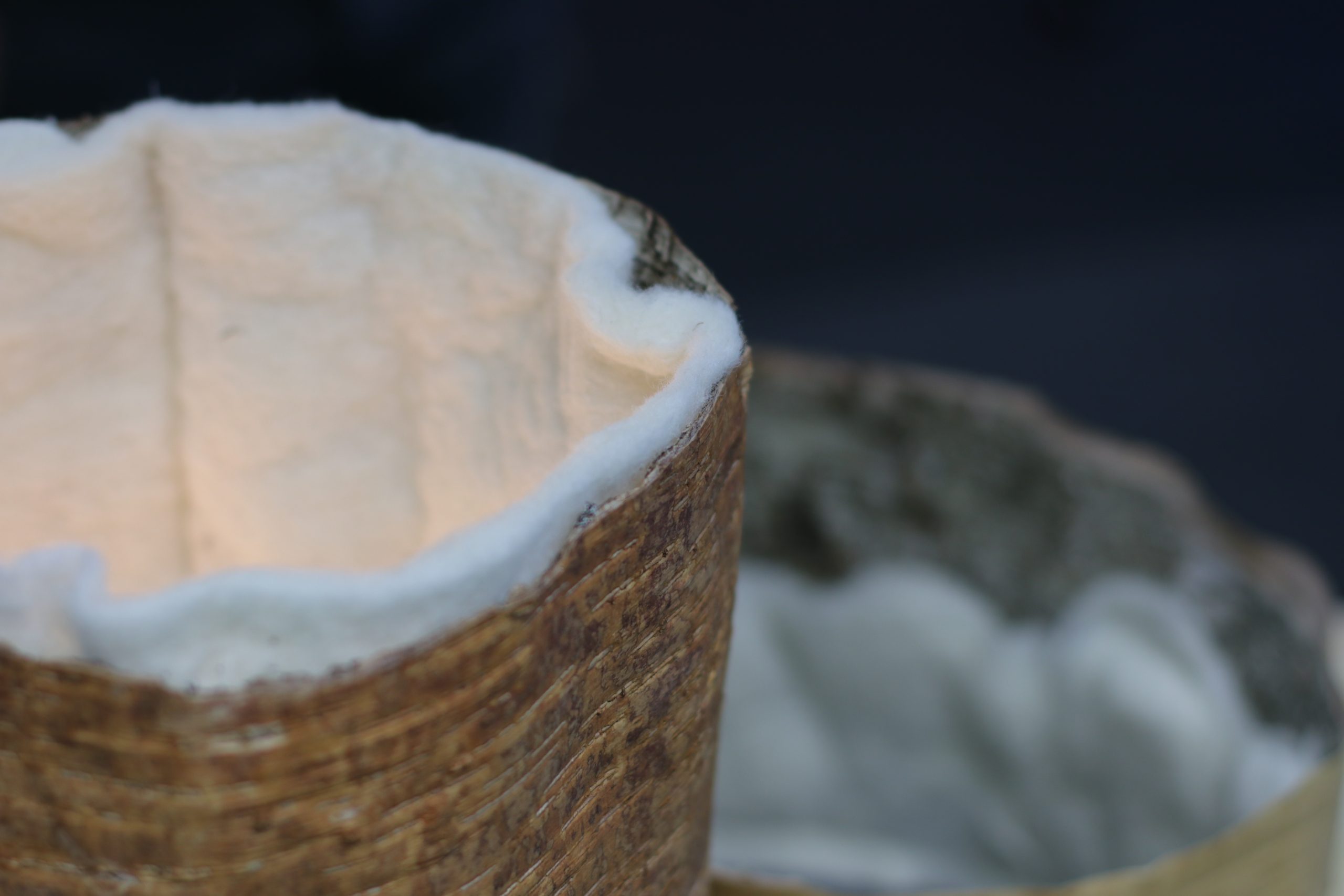 Porno katta eshak tukli mushuk