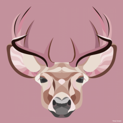 Ronja-Soopan-600x600