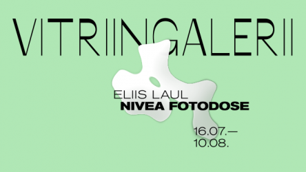 vitriingalerii_eliis_laul_still (1)
