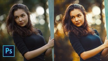 e486f27b14d997cad2d6e7c992192356