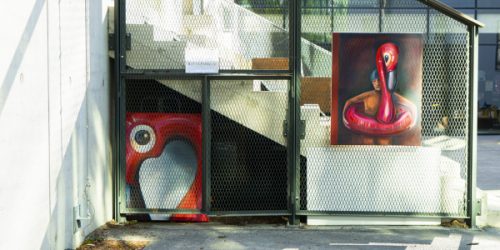 DSC0630-scaled_600x300_acf_cropped