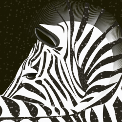 Anu-Preegel_800x800_acf_cropped