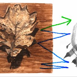 Joonistusteekond2_800x800_acf_cropped-1