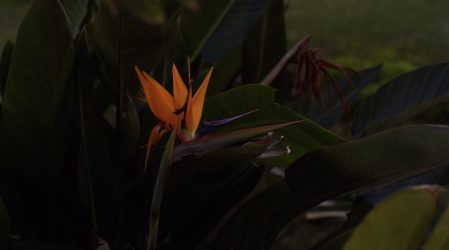 Artist Diana Tamane_Sama taeva all 2021