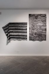 Krista Leesi Verbarium_foto_Hedi Jaansoo3