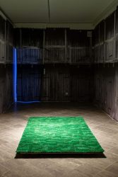 Krista Leesi Verbarium_foto_Hedi Jaansoo4