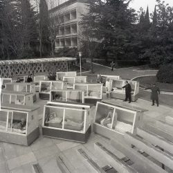 photo_2020-10-25_22-10-47