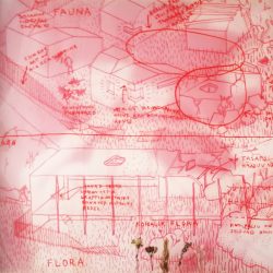 plansetid_1-scaled_800x800_acf_cropped