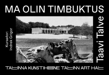 Taavi Talve timbuktu