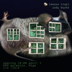 Zody Burke Mouse Trap