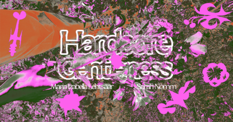 Hardcore Gentleness at Vent Space. Graphic design by Michael Fowler