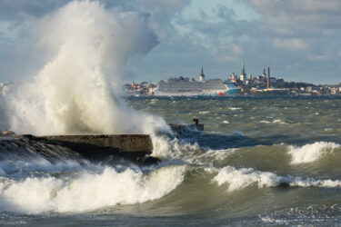 foto Toomas Tuul 18D3105