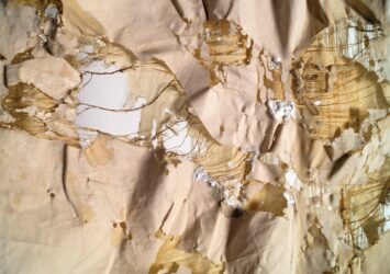 Helena Kisant_skin of nature_detail 1