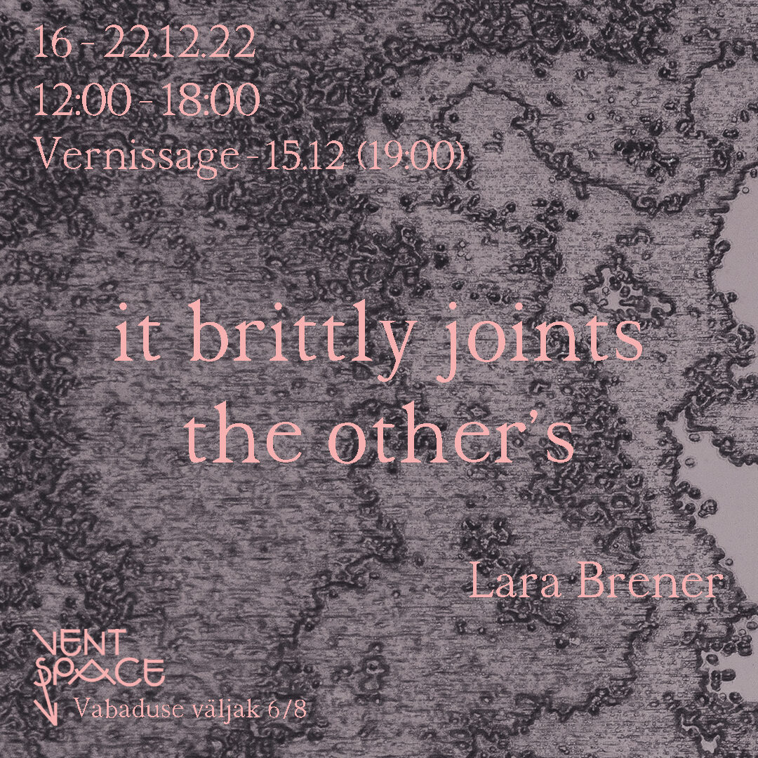 Lara Brener at Vent Space Gallery