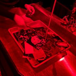 IMG_1524-scaled-aspect-ratio-1080-1080