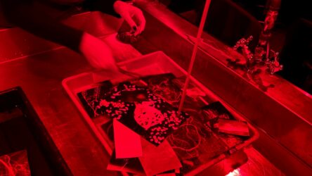 IMG_1524-scaled-aspect-ratio-1920-1080