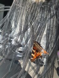 Tekstiilinäituse visuaalid2