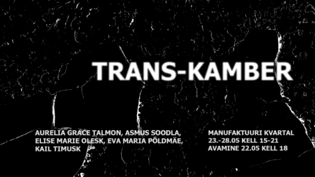 Trans-kamber