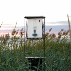 Tarmo-Luisk-aspect-ratio-1080-1080