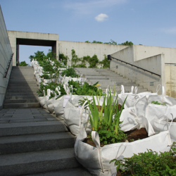 PastedGraphic-1-aspect-ratio-1080-1080