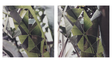 Kuimet_CG_33-34_Foku_web_web