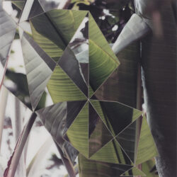 02_Kuimet_CG_34_Foku_web