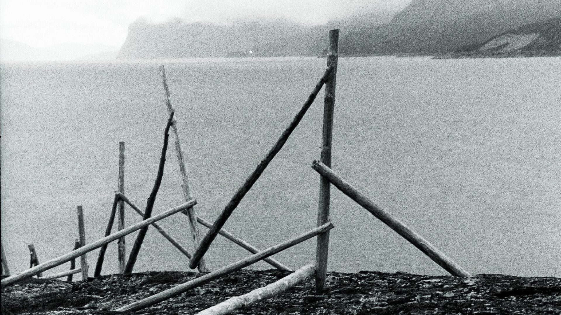 Esteetika, visuaalkultuuri- ja pilditeooria