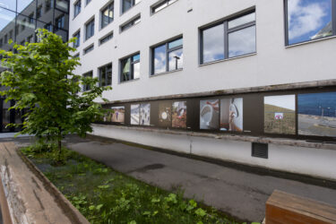 06_Olemise pärand_foto Kaisa Maasik