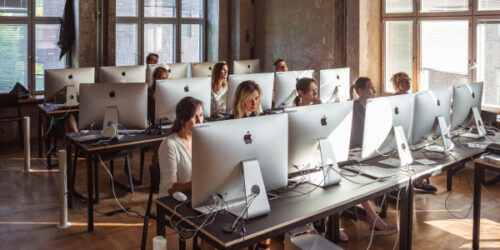 MG_0430_600x300_acf_cropped_600x300_acf_cropped