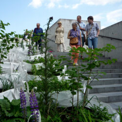 aed-kumus-11-aspect-ratio-1080-1080