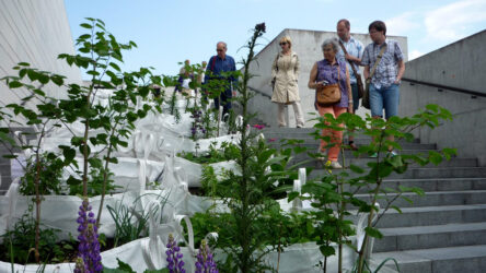 aed-kumus-11-aspect-ratio-1920-1080