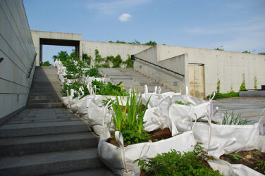 e8cf5206044c4958715f4a7bab70ea74