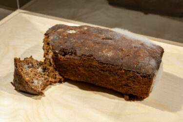 64_Igapaevane mang ja leib_foto Ako Allik