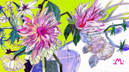 28x16cm-scaled-aspect-ratio-1920-1080