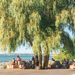 IMG_2639-scaled-aspect-ratio-1080-1080