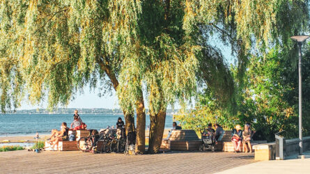 IMG_2639-scaled-aspect-ratio-1920-1080