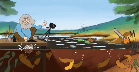 Autor: Mari-Liis Sillat