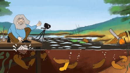 KT6-scaled-1-aspect-ratio-1920-1080