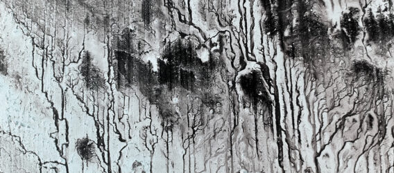 digitalJungleFragment