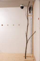 12_The Day the Line Bent into a Spiral_photo by Odie Lap Chun Chow